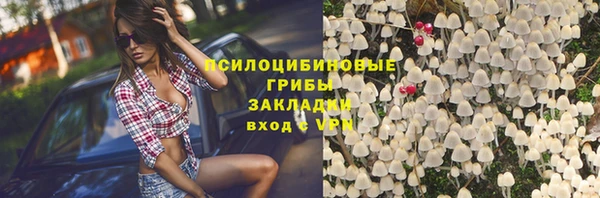 мяу мяу кристалл Надым