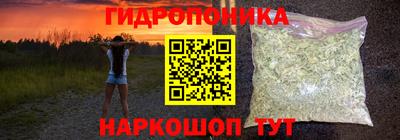 крисы Апшеронск