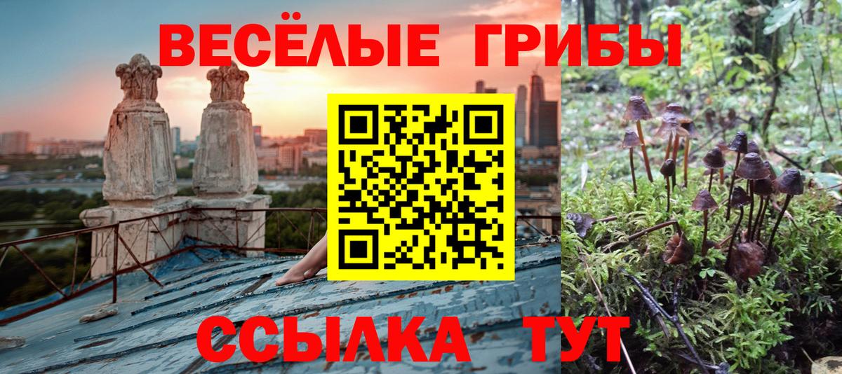 МЕФ Балаково