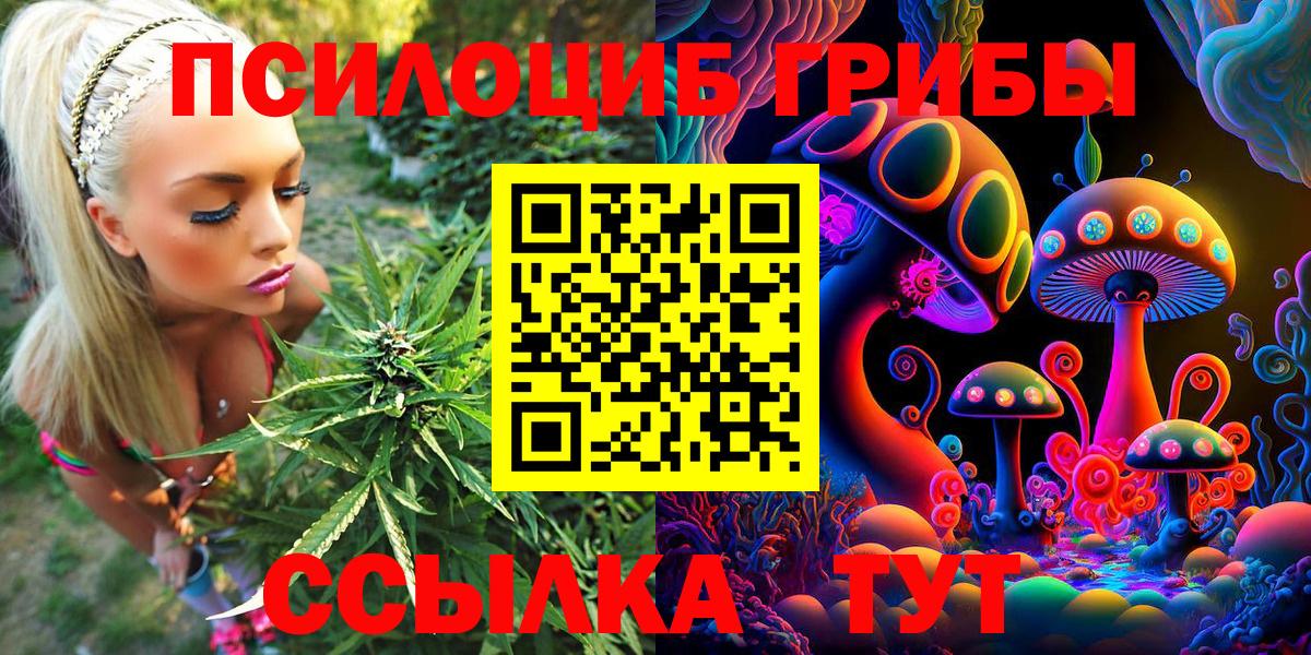 Галлюциногенные грибы MAGIC MUSHROOMS  Вход с VPN  Балаково 