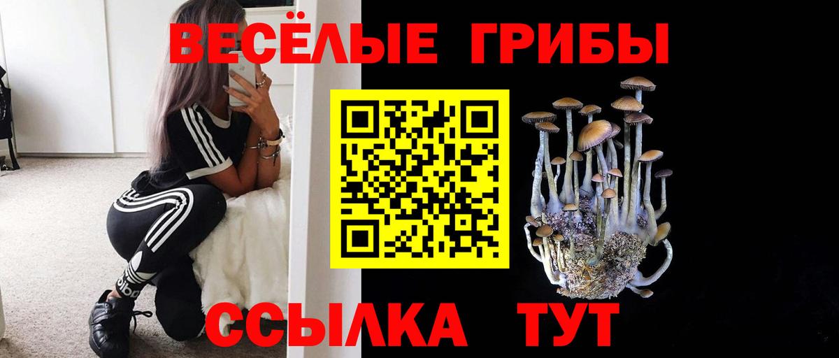 ТГК  Альфа ПВП СОЛЬ кристаллы  Магазины продажи наркотиков  МЕФ кристаллы  Балаково  Гашиш  Бошки Шишки  Амфетамин  