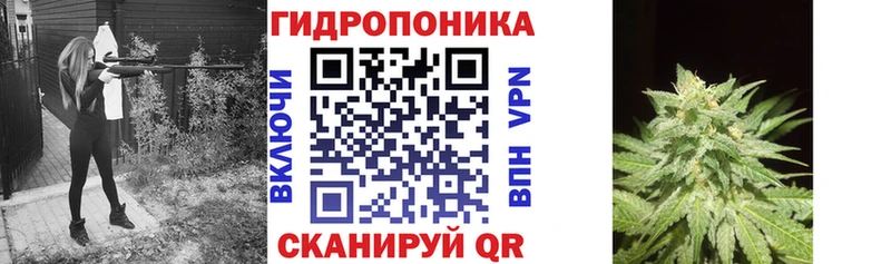 Бошки марихуана конопля  как найти закладки  Балаково 