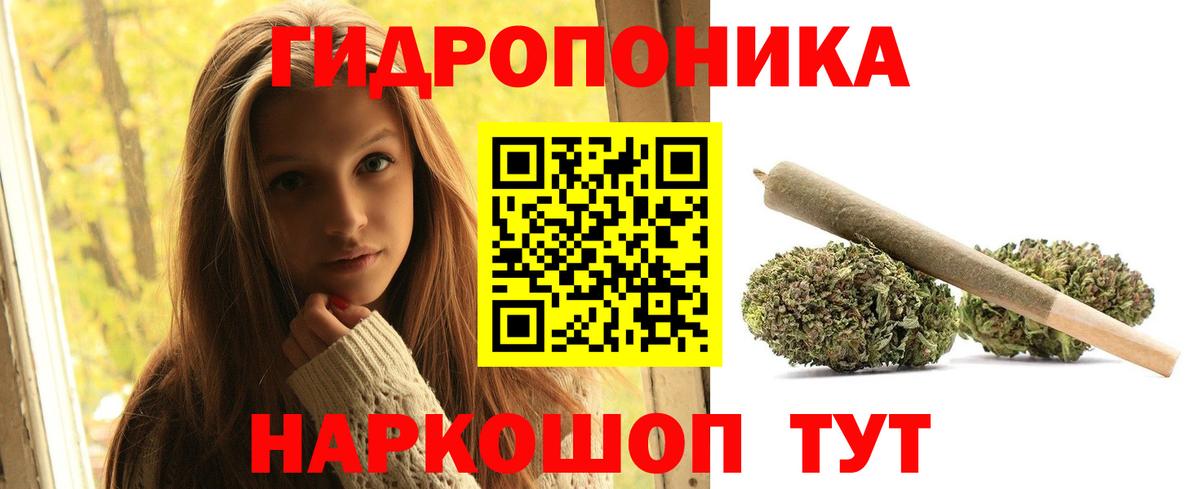 Шишки марихуана LSD WEED  Вход с VPN  Балаково  МАРИХУАНА план  Бошки марихуана VHQ 